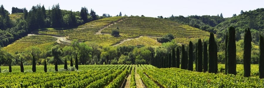 Vivere a lungo in Italia