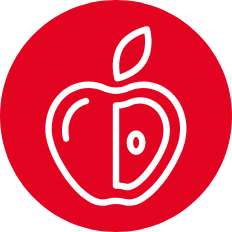 ico1